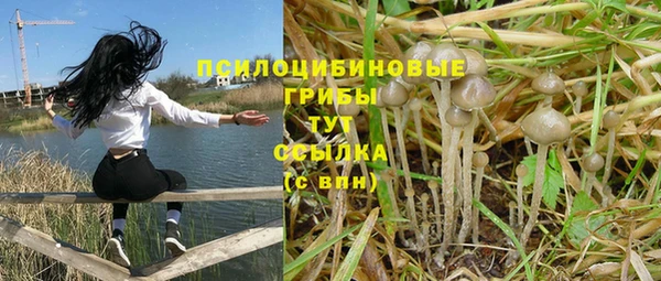 прущая мука Абинск