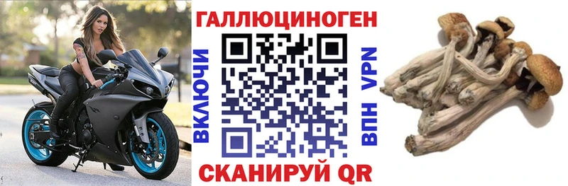 дарнет шоп  Котово  Псилоцибиновые грибы Psilocybine cubensis 